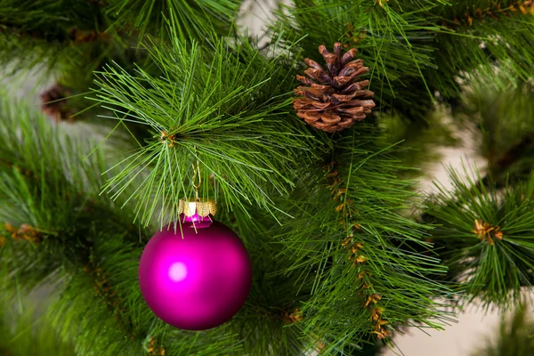 Рождественские елки — стоковое фото