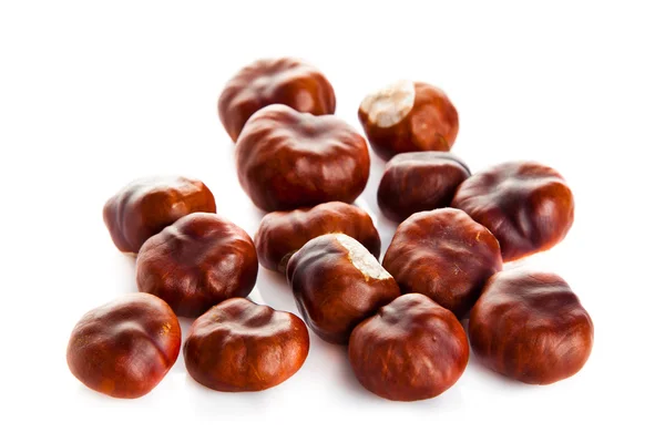 Castagne isolate su sfondo bianco — Foto Stock