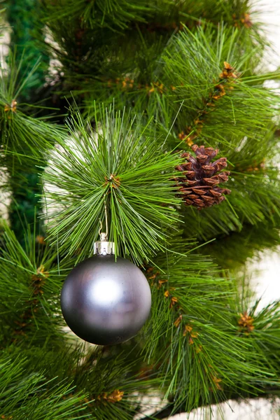 Рождественские елки — стоковое фото