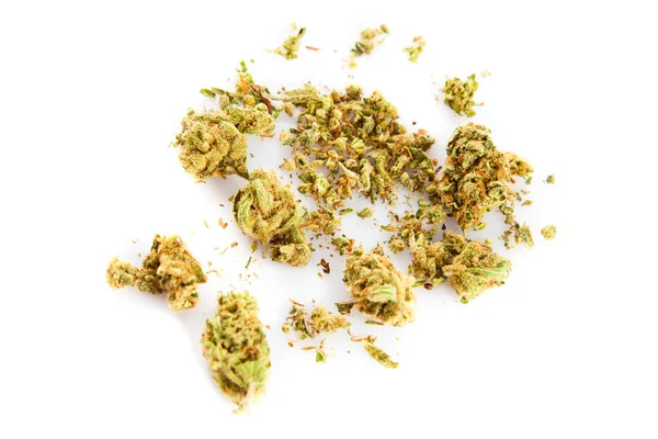 Marihuana izolovaných na bílém pozadí — Stock fotografie