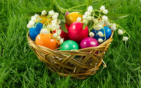 Busket üzerinde yeşil ciğeri izole kavramı bayram Paskalya yumurta — Stok fotoğraf