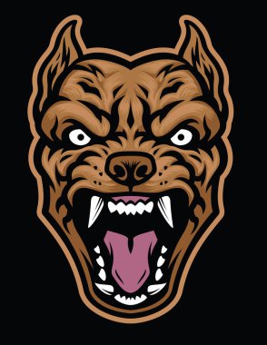 Saldırgan Pitbull köpek kafası