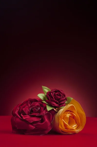 빨강과 노랑 장미 — 스톡 사진