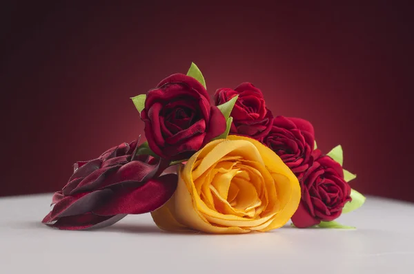 Vörös és sárga rózsa — Stock Fotó