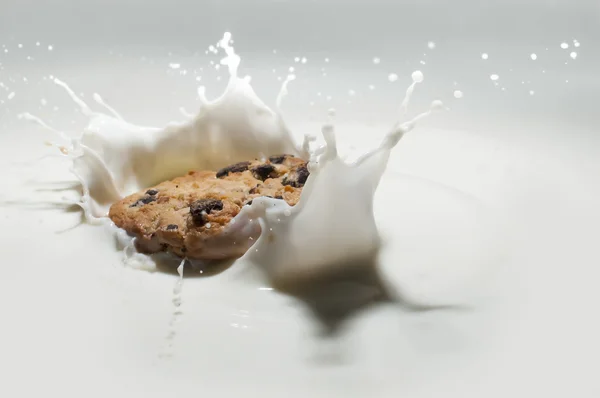 Biscuits falling milk — Stock Photo, Image