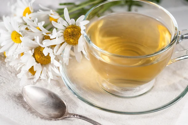 Té de manzanilla — Foto de Stock