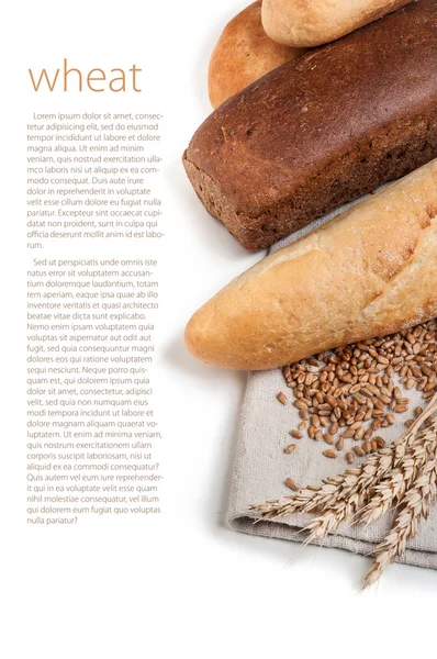 Wheat and bread — Stock Photo, Image