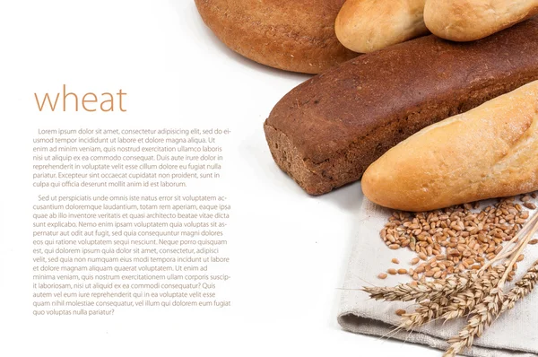 Wheat and bread — Stock Photo, Image