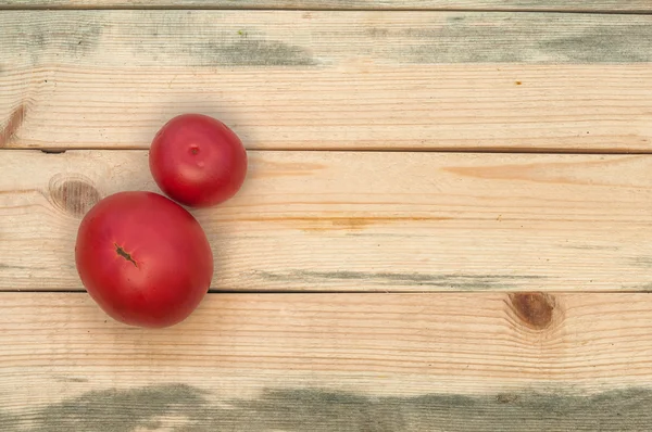 Tomaten — Stockfoto