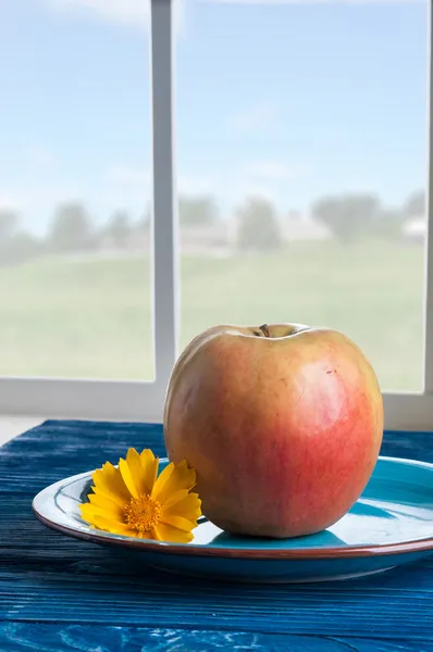 접시에 사과 — 스톡 사진