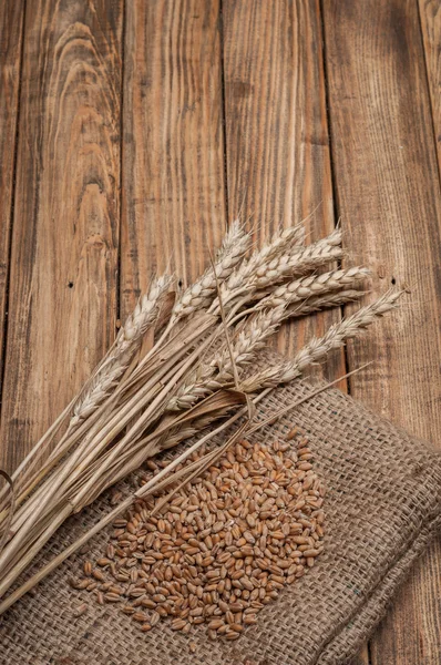 Wheat and ears — Stock Photo, Image