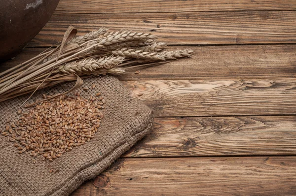 Wheat and ears — Stock Photo, Image