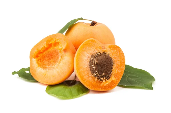 Apricot — Stock Photo, Image