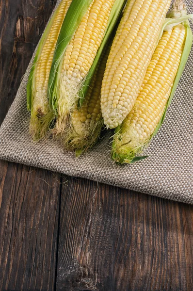 Corn — Stock Photo, Image