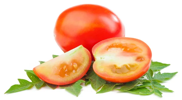 Tomatoes isolated — Stock Photo, Image