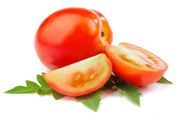 Tomatoes isolated — Stock Photo, Image