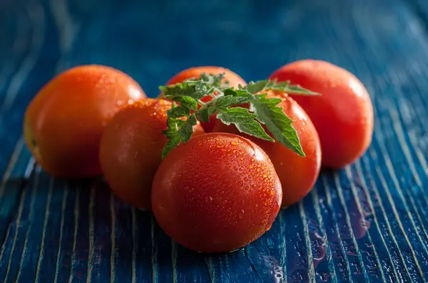 Tomates húmidos — Fotografia de Stock