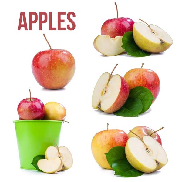 Apples isolated — Stock Photo, Image