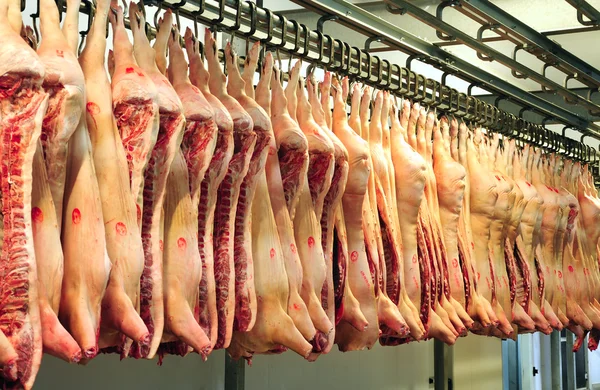 Vepřové maso jatečně Stock Obrázky