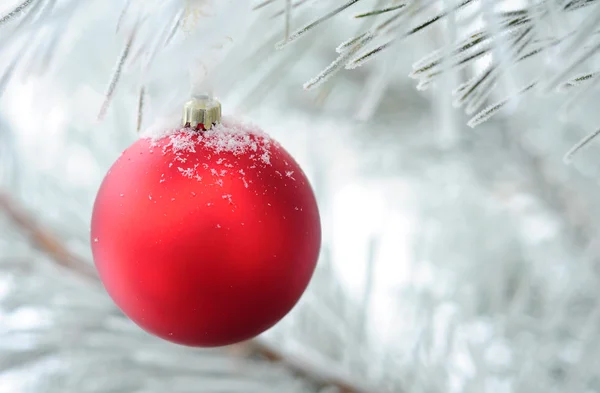 Christmas decoration on fir tree branch — Stock Photo, Image