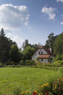çiçekler arasında klasik lüks villa