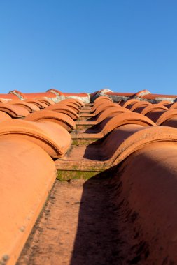 çatı kiremit portre