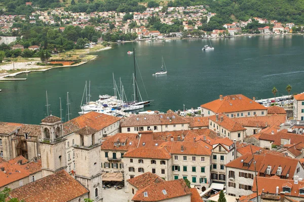 Panoramic View City Bay Summer Day Kotor Montenegro — Stock Photo, Image