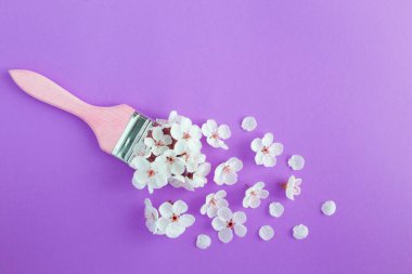 Yaratıcı çiçek kompozisyonu. Mor arka planda beyaz çiçekli boya fırçası. Üst Manzara. Boşluğu kopyala.