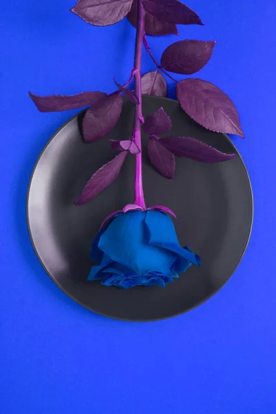 Composição Flores Criativas Vista Superior Rosa Azul Placa Preta Fundo — Fotografia de Stock