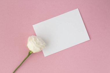 Metin için boş beyaz kağıdın üst görünümü ve pembe arkaplanda beyaz çiçek