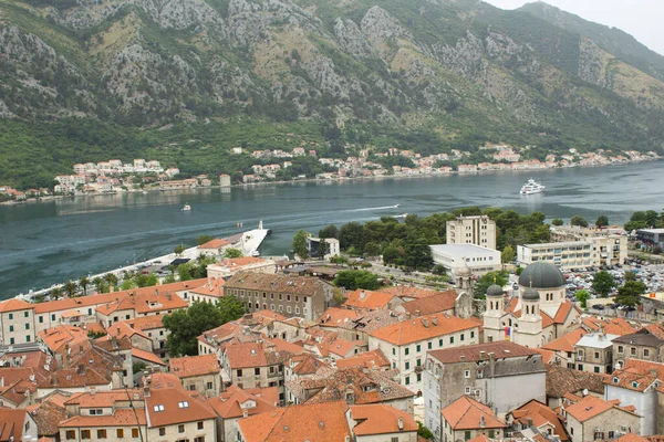 View Old City Houses Embankment Summer Day Kotor Montenegro — Stock Photo, Image