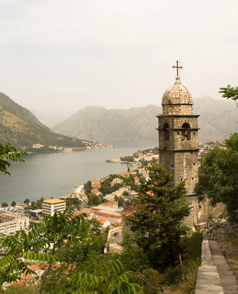 Close Old Tower City Summer Day Kotor Montenegro Location Vertical — Stock Photo, Image