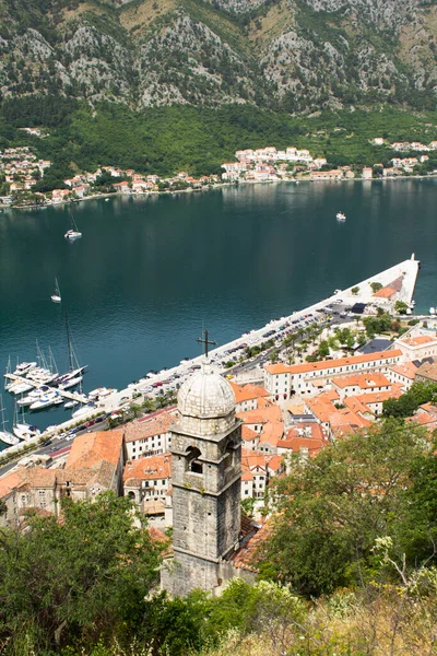 Close Old Tower City Summer Day Kotor Montenegro Location Vertical — Stock Photo, Image