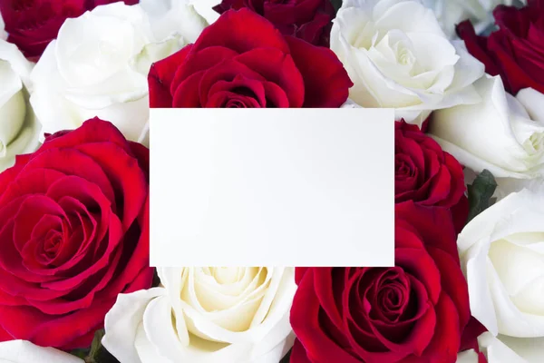 Closeup Red White Roses Copy Space Floral Background — Foto Stock