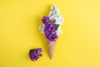 Sarı arka planda beyaz ve mor leylak renginde dondurma külahı. Uzayı kopyala Üst görünüm.