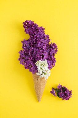 Sarı arka planda mor ve beyaz leylak renginde dondurma külahı. - Yakın çekim. Konum dikey.
