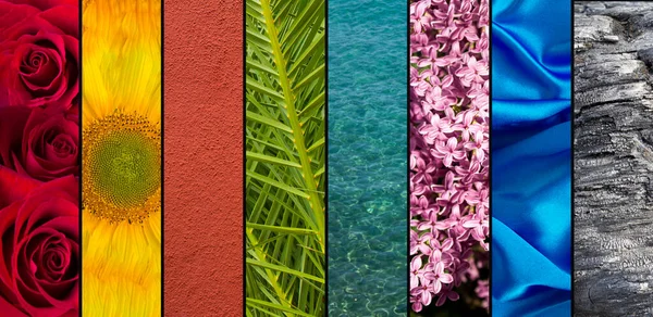 Kreative Collage Eine Reihe Von Bildern Mit Natürlichen Texturen Nahaufnahme Stockbild