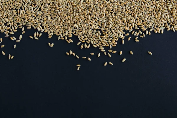 Вид Зверху Сухе Зерно Пшениці Чорному Тлі Копіювати Простір — стокове фото