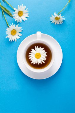 Mavi arka planda papatya çayı olan beyaz bardağın üst görüntüsü. - Yakın çekim. Uzayı kopyala Konum dikey.