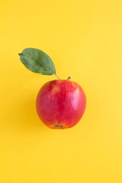 Red Apple Yellow Background Closeup Location Vertical — 스톡 사진