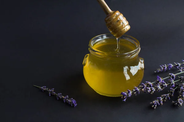 Honey Glass Jar Lavender Flower Black Background Closeup Copy Space —  Fotos de Stock