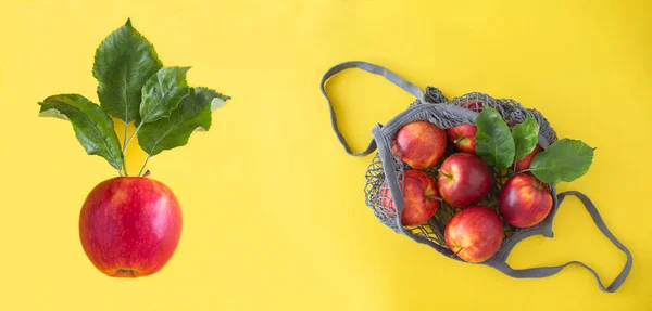 Banner Top View Mesh Shopping Bag Red Apples Apple Yellow — 스톡 사진
