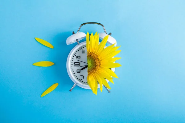 Sunflower Alarm Clock Face Blue Background Copy Space Top View — Stock Fotó