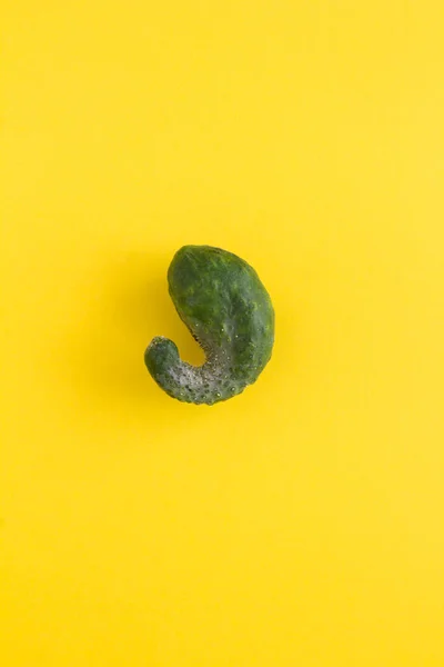 Ugly cucumber on the yellow background. Close-up. Location vertical.