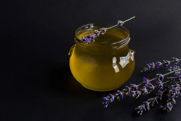 Honey Glass Jar Lavender Flower Black Background Closeup Copy Space — Stok Foto