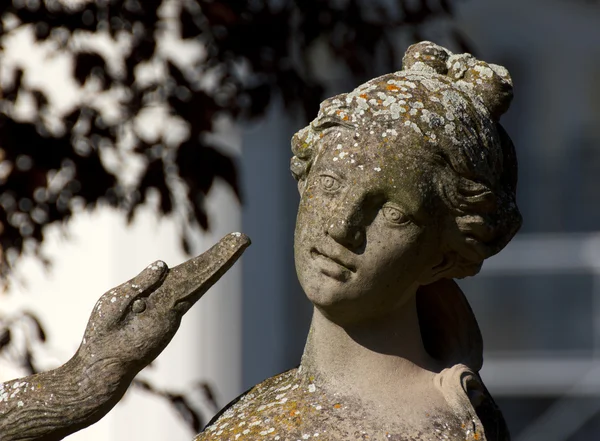 The Lady and the Swan — Stock Photo, Image