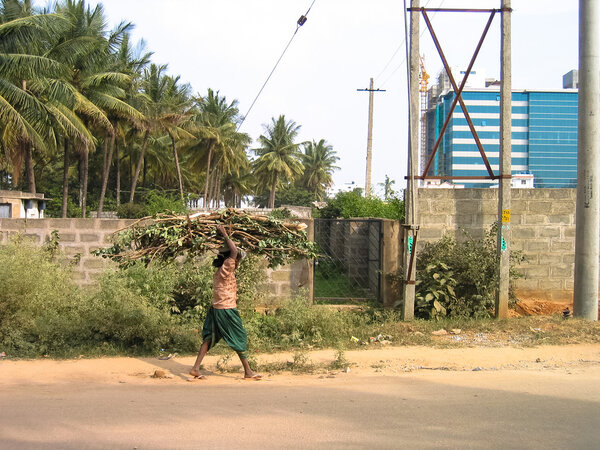 Рабочая индианка
