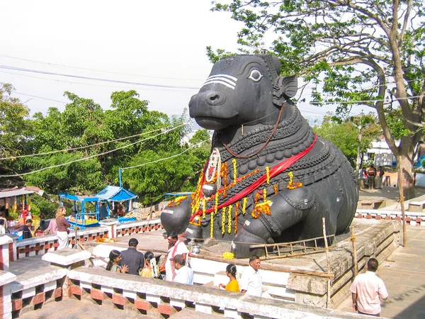 Supposedly the biggest Nandi in the World — Stock Photo, Image