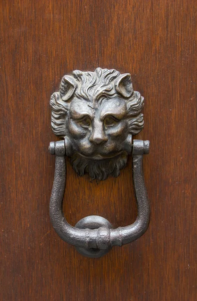 Львиный дверной стукач — стоковое фото