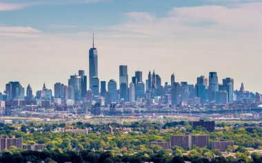 aşağı manhattan bir ormanda